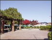 草津市野村運動公園