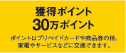 フラット35S