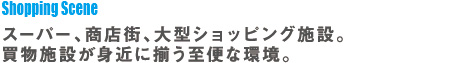 スーパー、商店街、大型ショッピング施設。買物施設が身近に揃う至便な環境。